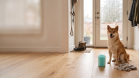 Clean floors, happy dog