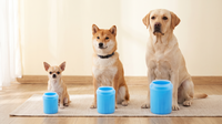Small, medium and large sizes for every dog